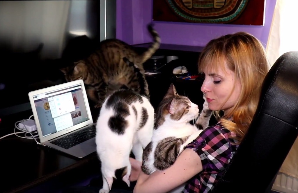 Working With Cats Lory's Cats